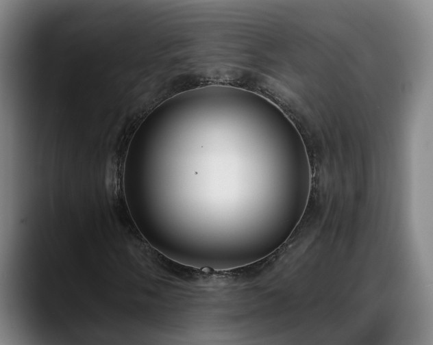 X0000088841058200706141535