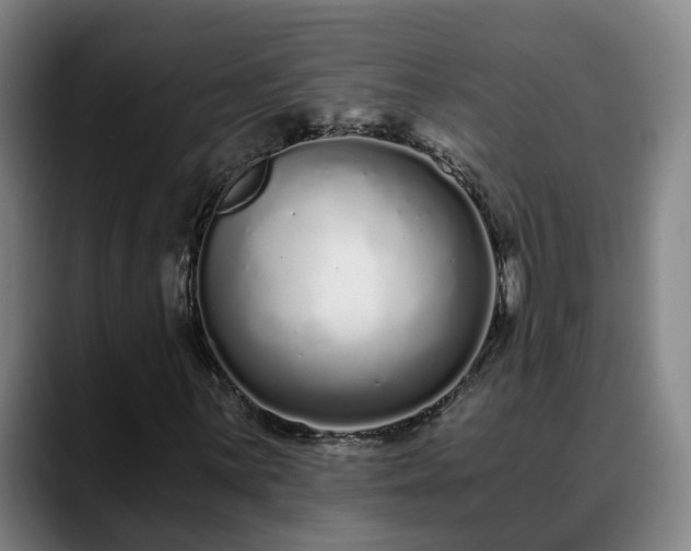 X0000088841059200706141535