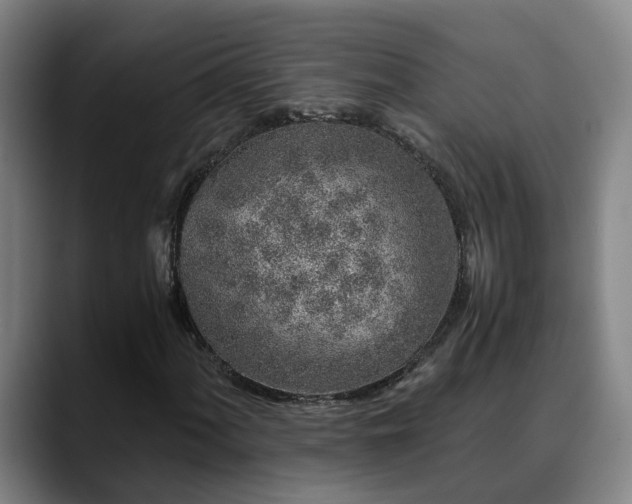 X0000088841060200706141535