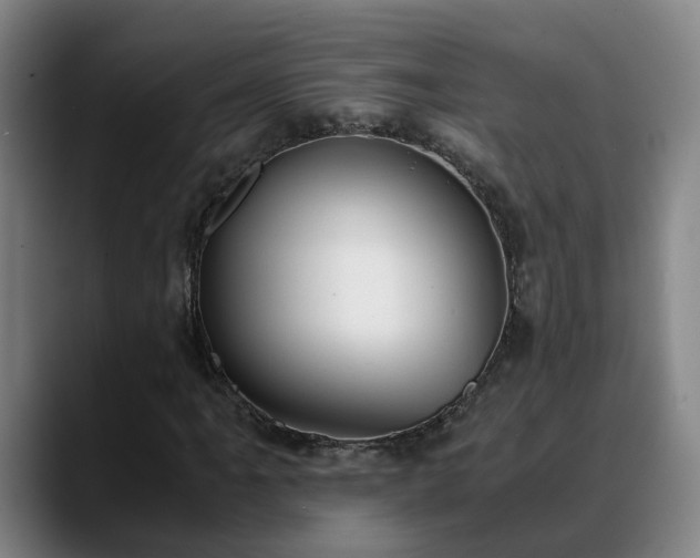 X0000088841061200706141535