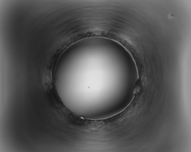 X0000088841062200706141535