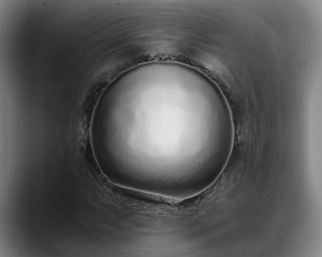 X0000088841063200706141535