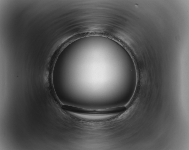 X0000088841066200706141534