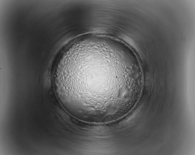 X0000088841067200706141534