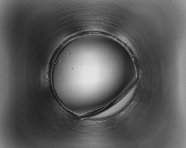 X0000088841068200706141534