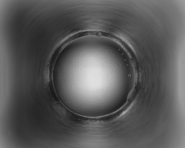 X0000088841069200706141534