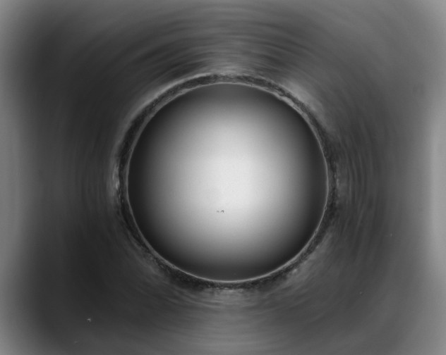 X0000088841070200706141534