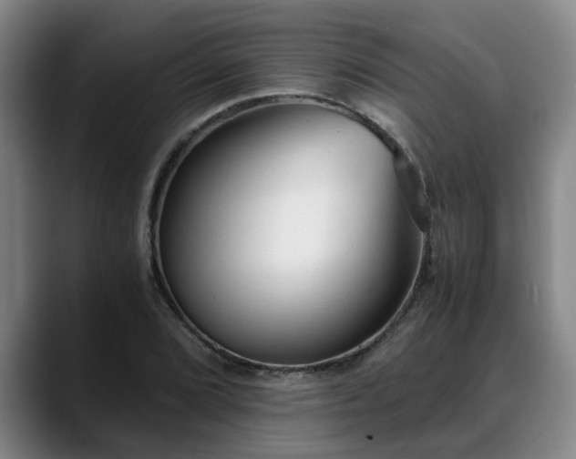 X0000088841072200706141534