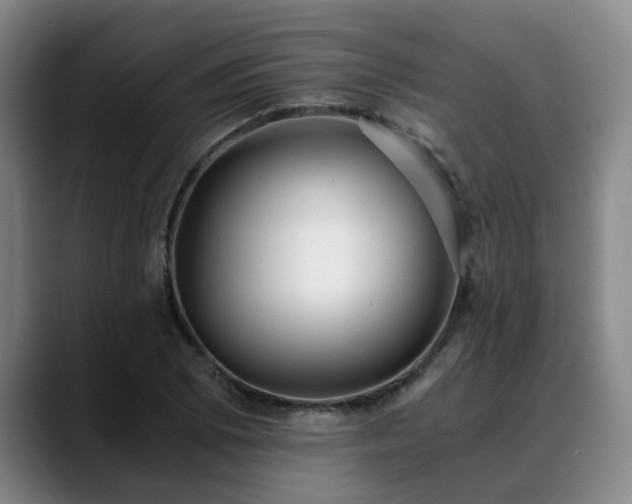 X0000088841073200706141534