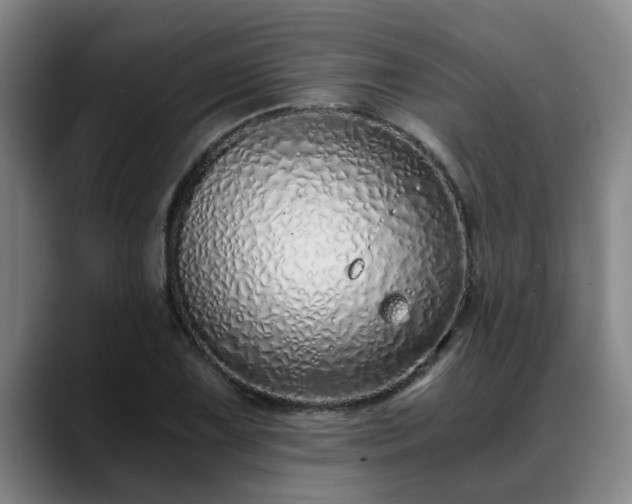 X0000088841075200706141534