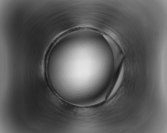 X0000088841076200706141534