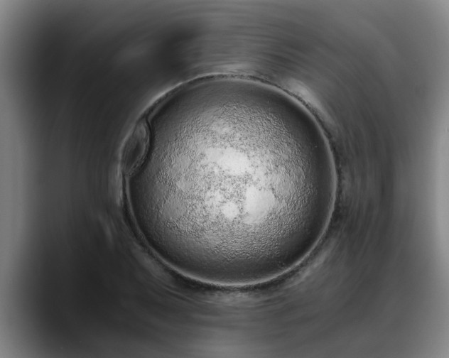 X0000088841079200706141534