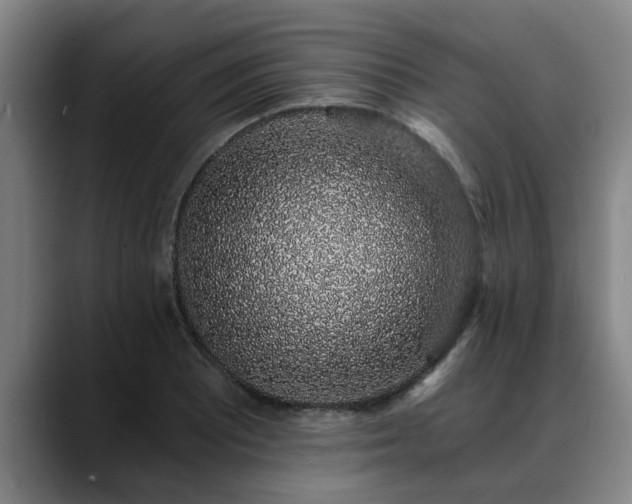 X0000088841081200706141534