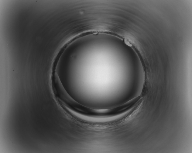 X0000088841085200706141534