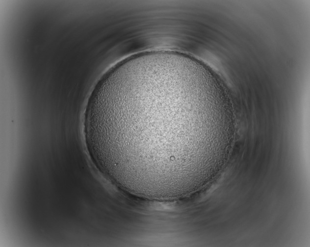 X0000088841086200706141534