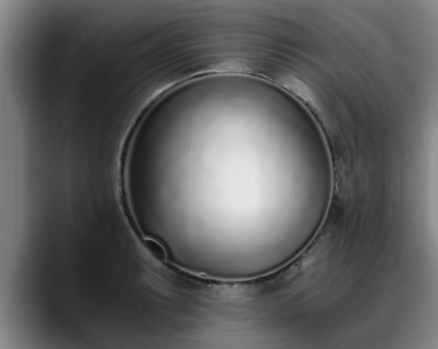 X0000088841087200706141534