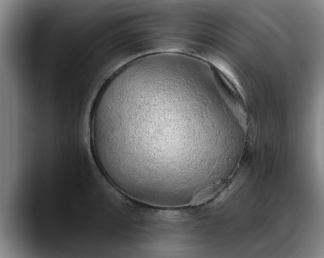 X0000088841088200706141534