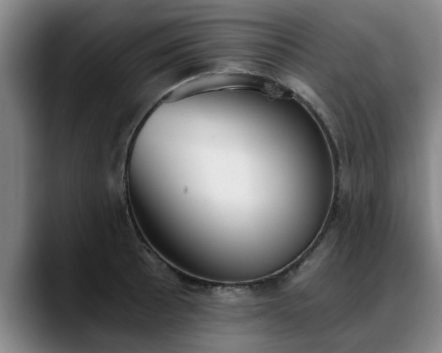 X0000088841089200706141534