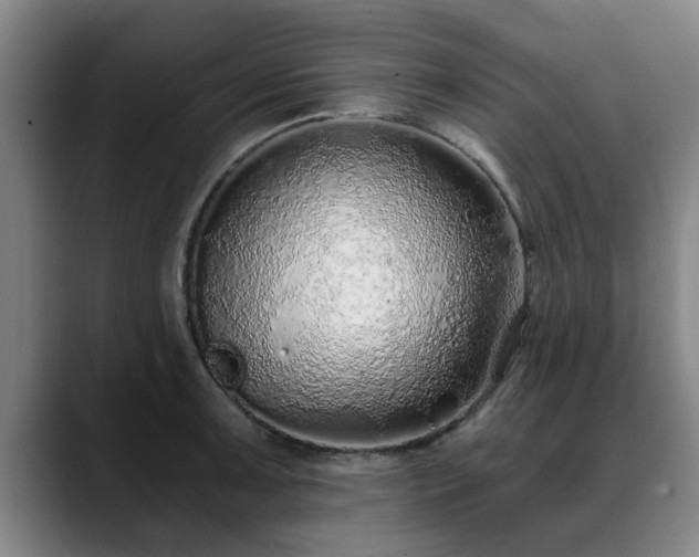 X0000088841091200706141534