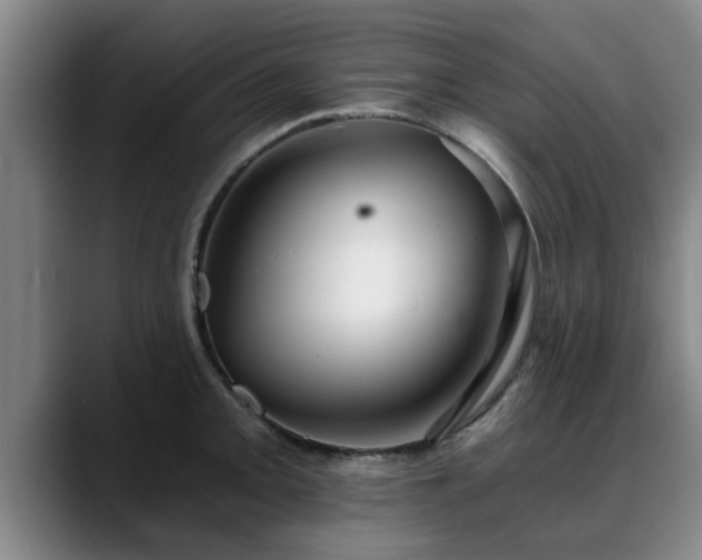 X0000088841093200706141534