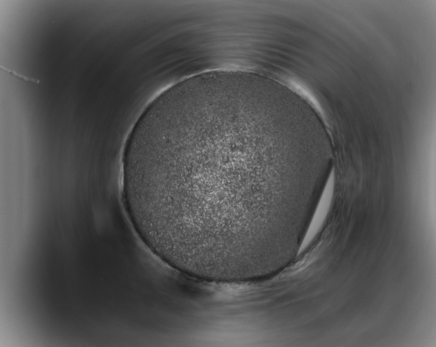 X0000088841095200706141534