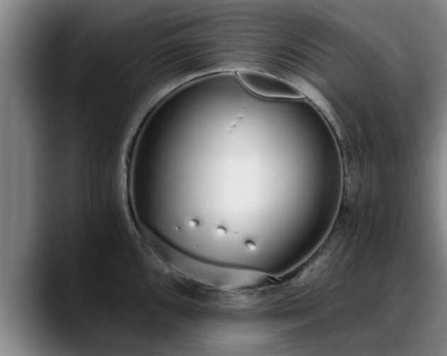 X0000088841096200706141534