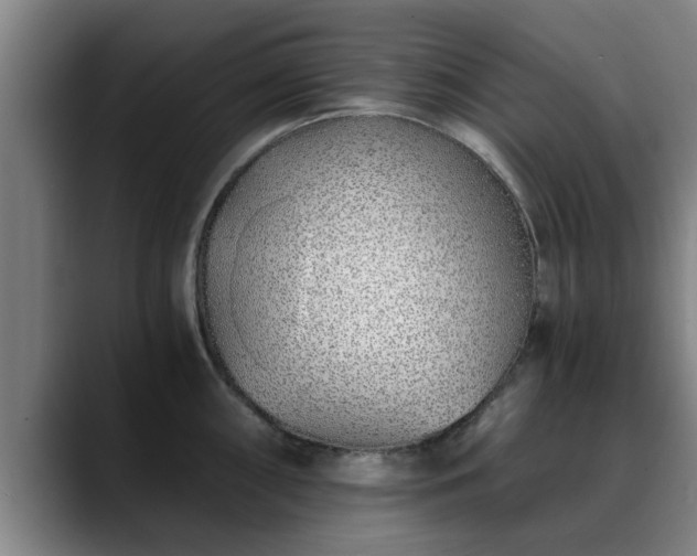 X0000088841098200706141534