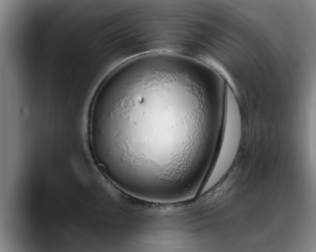 X0000088841099200706141534