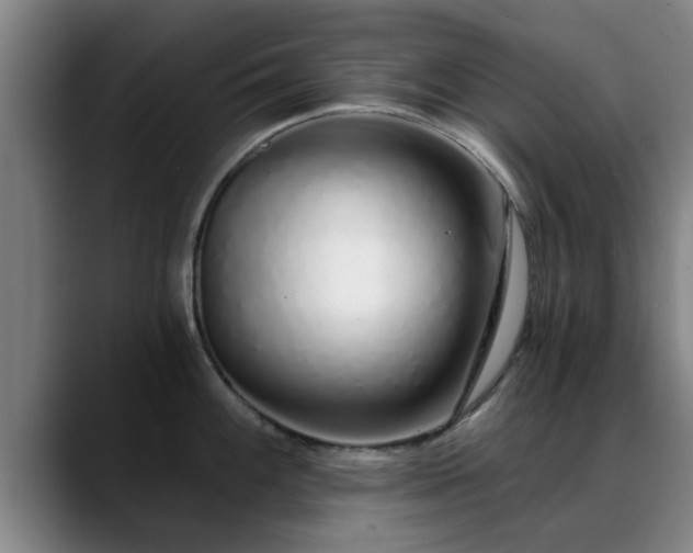 X0000088841100200706141534