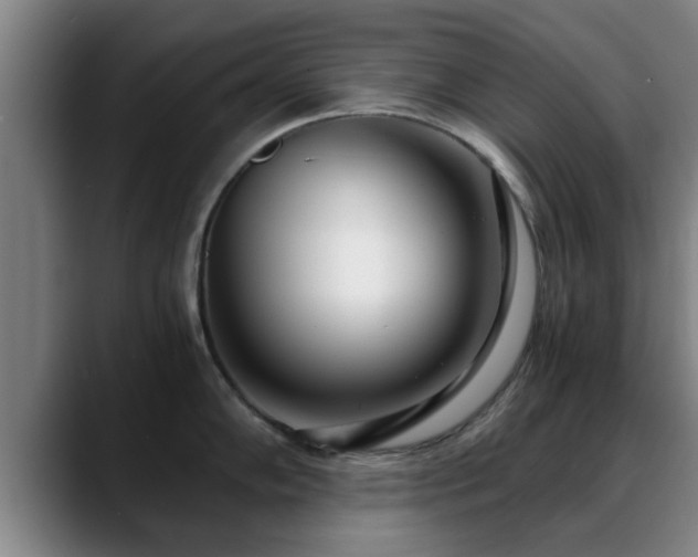 X0000088841102200706141534