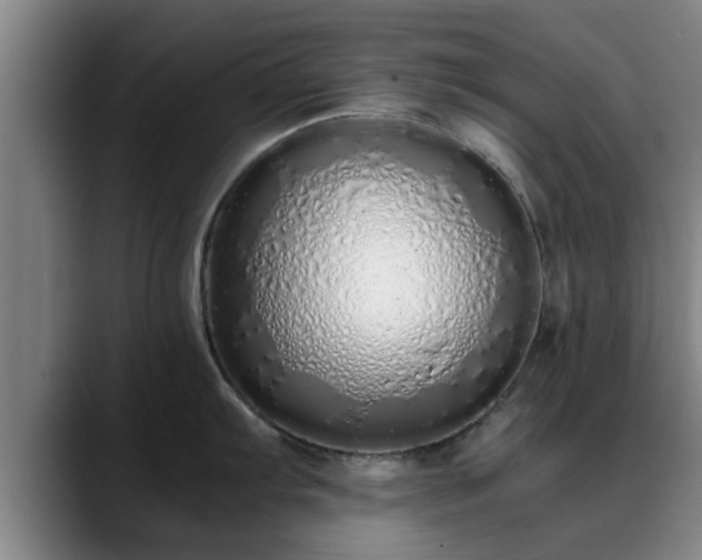 X0000088841103200706141534