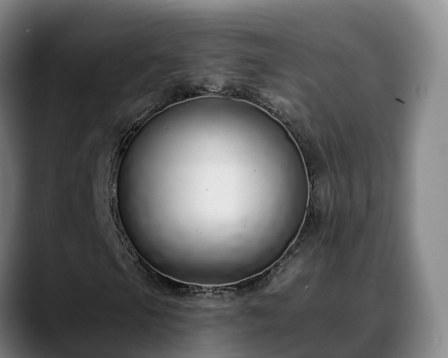 X0000088841105200706141533