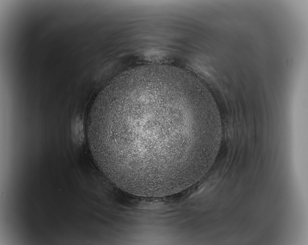 X0000088841106200706141533