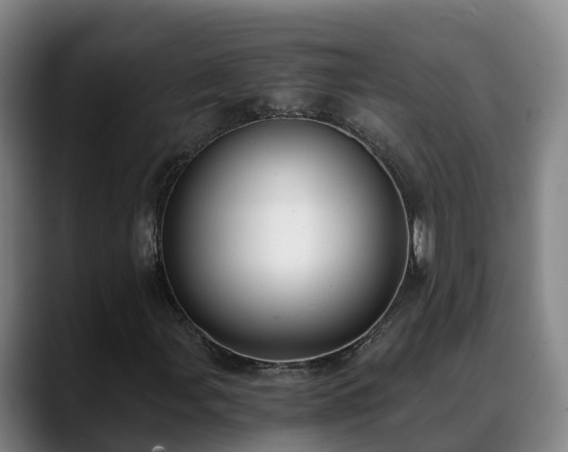 X0000088841107200706141534