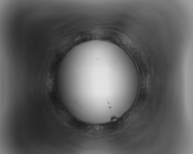 X0000088841109200706141534