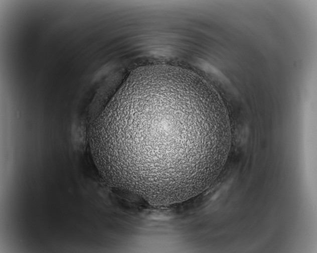 X0000088841110200706141534