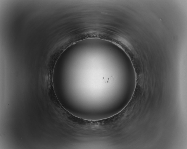 X0000088841111200706141534