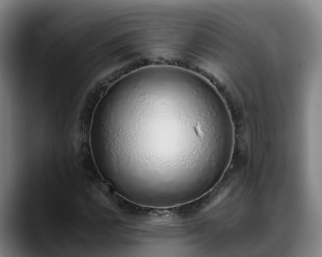 X0000088841112200706141534