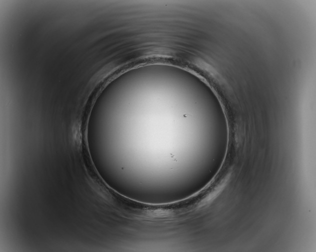 X0000088841113200706141534