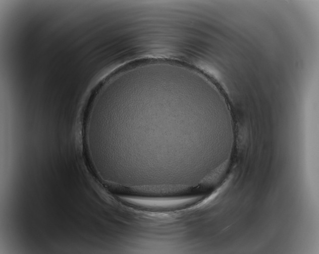 X0000088841114200706141534