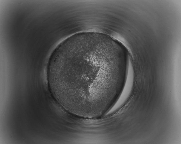 X0000088841120200706141534