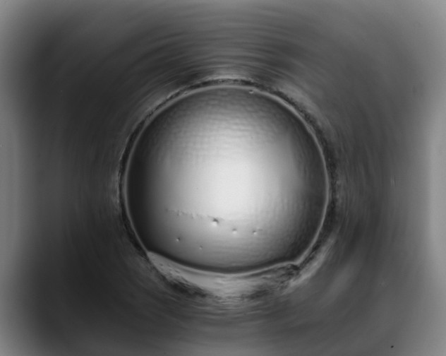 X0000088841121200706141534