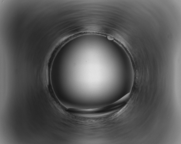 X0000088841123200706141534