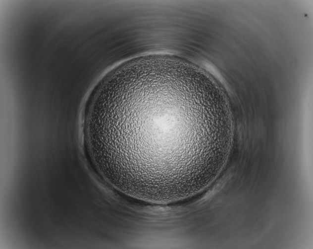 X0000088841124200706141534