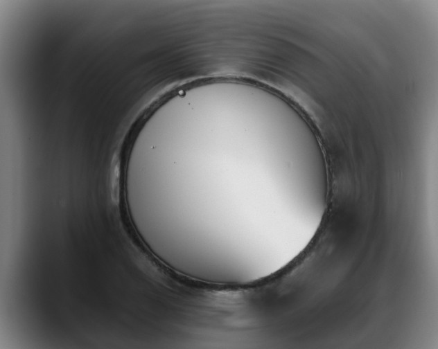 X0000088841126200706141534