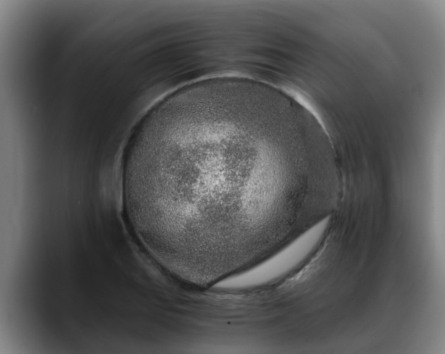 X0000088841127200706141534