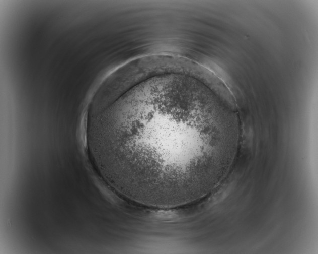 X0000088841128200706141534