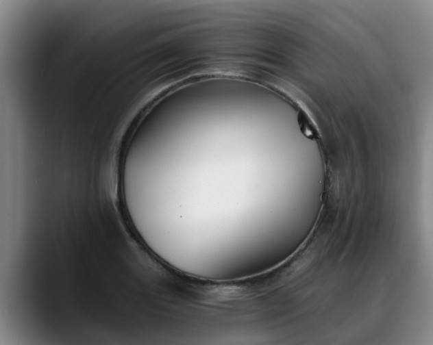 X0000088841131200706141534