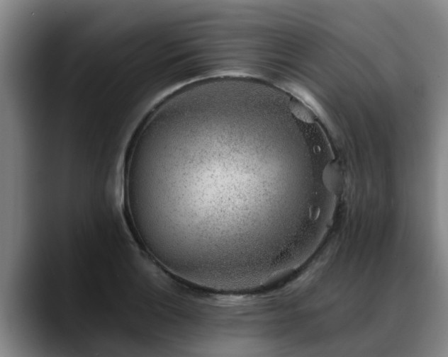 X0000088841132200706141534