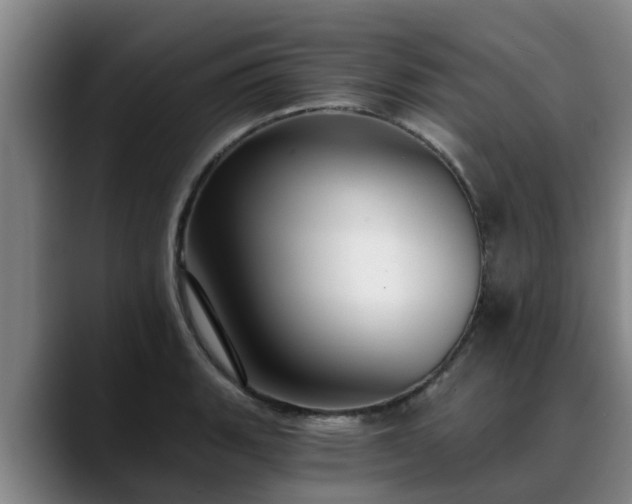 X0000088841135200706141534